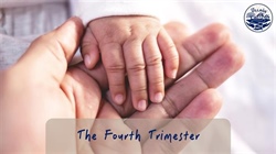 The Fourth Trimester Course